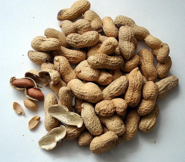 'Nufs Superfood Bins